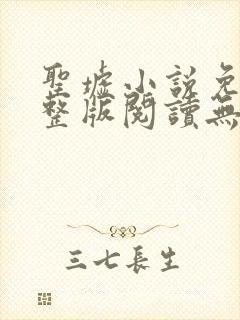 圣墟小说免费完整版阅读无弹窗