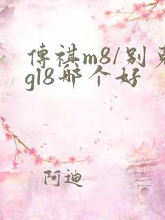 传祺m8/别克gl8哪个好