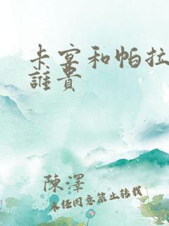 卡宴和帕拉梅拉谁贵