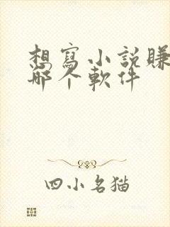 想写小说赚钱去哪个软件