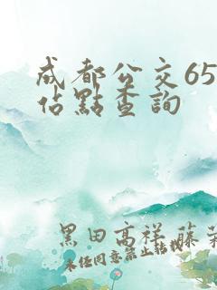 成都公交65路站点查询