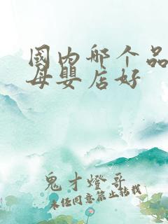 国内哪个品牌的母婴店好