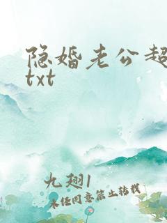 隐婚老公超给力txt