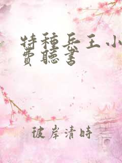 特种兵王小说免费听书