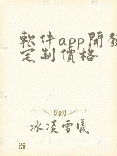 软件app开发定制价格