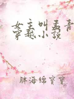 女主叫孟青萝的穿越小说