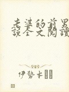 老婆的前男友小说全文阅读