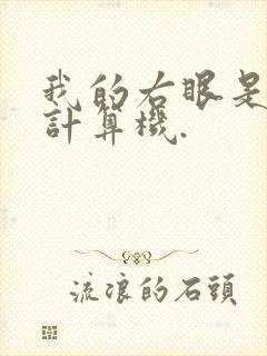 我的右眼是神级计算机.