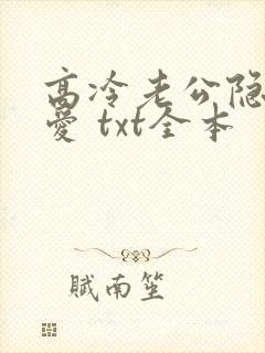 高冷老公隐婚蜜爱 txt全本