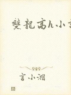 双龙高h小说