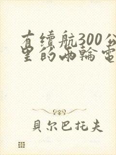 有续航300公里的两轮电动车吗