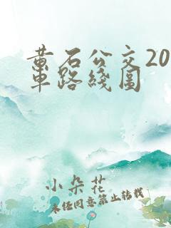 黄石公交20路车路线图