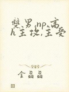 双男,np,高h主攻,主受