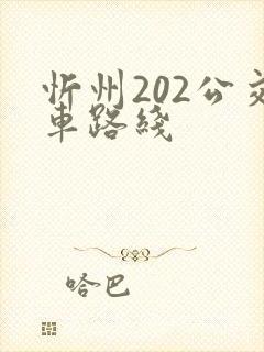 忻州202公交车路线