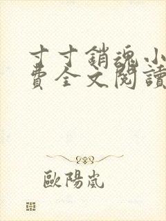 寸寸销魂小说免费全文阅读 寸寸销魂小说免费全文阅读