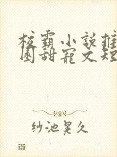 校霸小说推荐校园甜宠文短篇