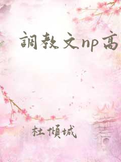 调教文np高h