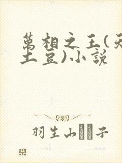 万相之王(天蚕土豆)小说
