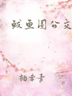 鲅鱼圈公交车