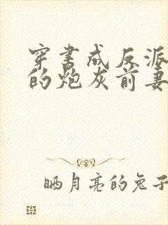 穿书成反派大佬的炮灰前妻