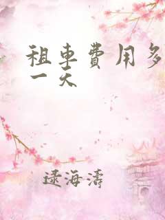 租车费用多少钱一天