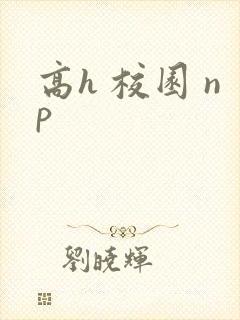 高h 校园 np