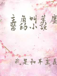 主角叫叶尘是神医的小说