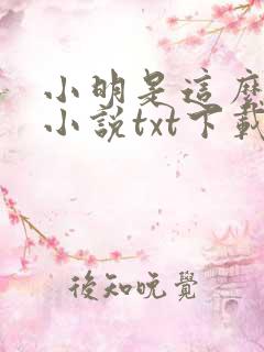 小明是这么死的小说txt下载