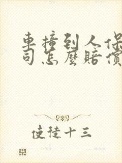 车撞到人保险公司怎么赔偿