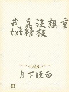 我真没想重生啊txt精校