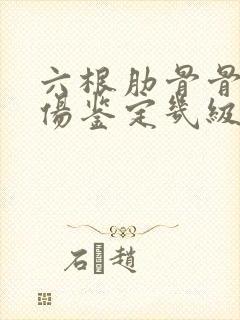 六根肋骨骨折工伤鉴定几级