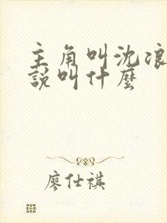 主角叫沈浪的小说叫什么