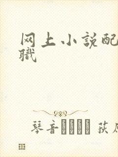 网上小说配音兼职 网上小说配音兼职