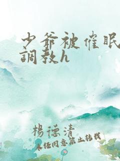 少爷被催眠玩弄调教h