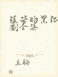 张若昀黑狐电视剧全集