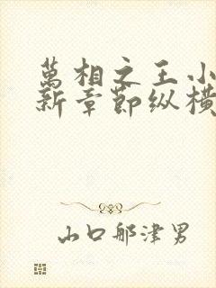 万相之王小说最新章节纵横全文阅读