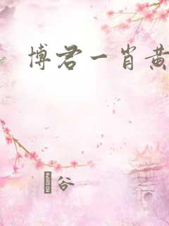 博君一肖黄文