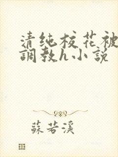 清纯校花被地狱调教h小说