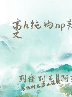 高h纯肉np辣文