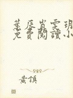 叶辰肖雯玥小说免费阅读小说最新