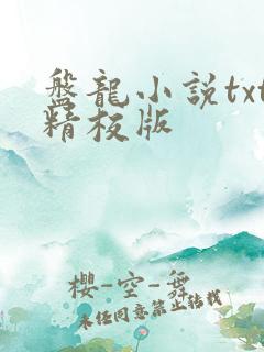 盘龙小说txt精校版