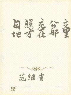 日照充公交卡的地方在哪里