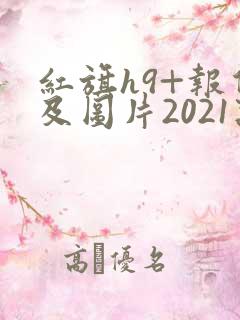 红旗h9+报价及图片2021款