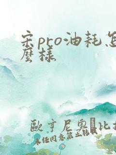 宋pro油耗怎么样