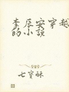 李辰安穿越大宁的小说
