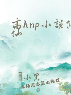 高hnp小说修仙