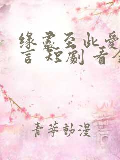 缘尽至此爱不再言 短剧 看全集