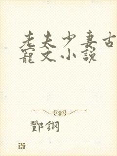老夫少妻古言甜宠文小说