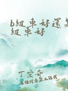 b级车好还是a级车好