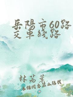 岳阳市60路公交车线路